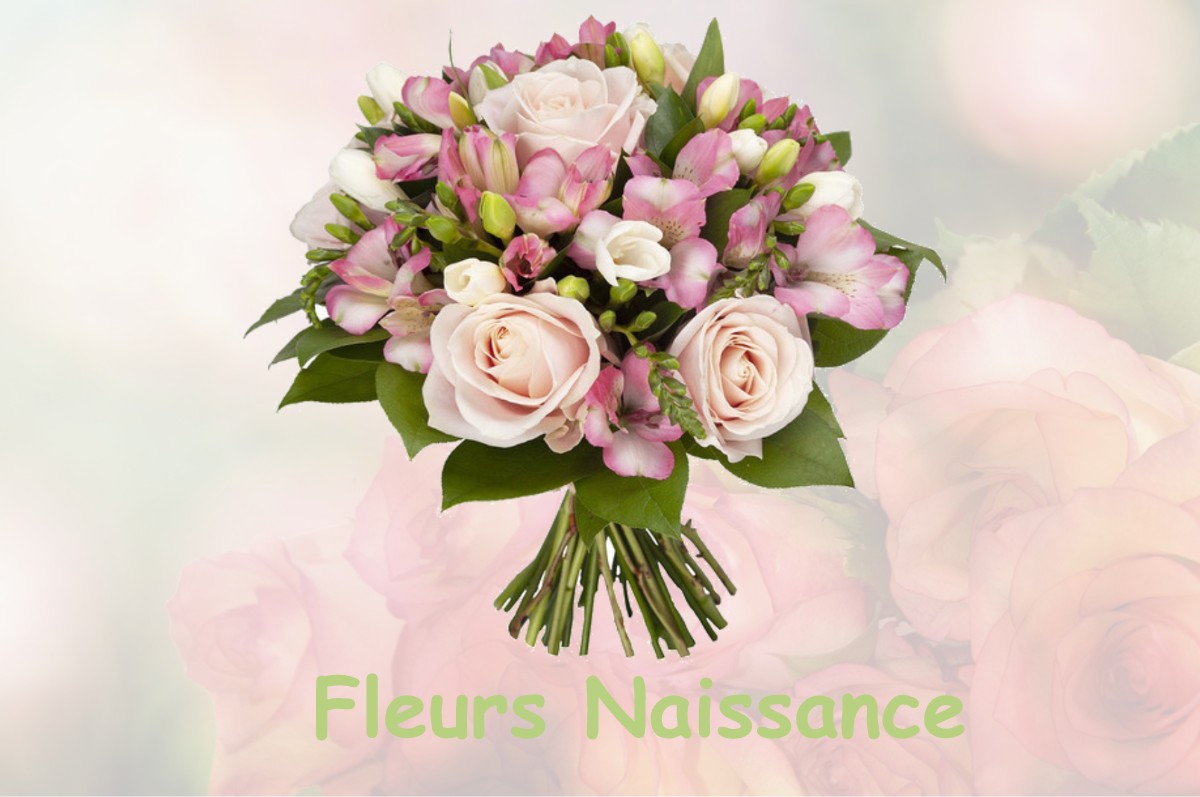 fleurs naissance INGRANNES