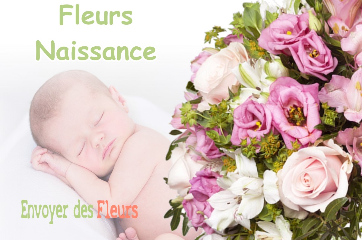 lIVRAISON FLEURS NAISSANCE à INGRANNES